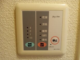 鴻池新田駅 徒歩4分 3階の物件内観写真